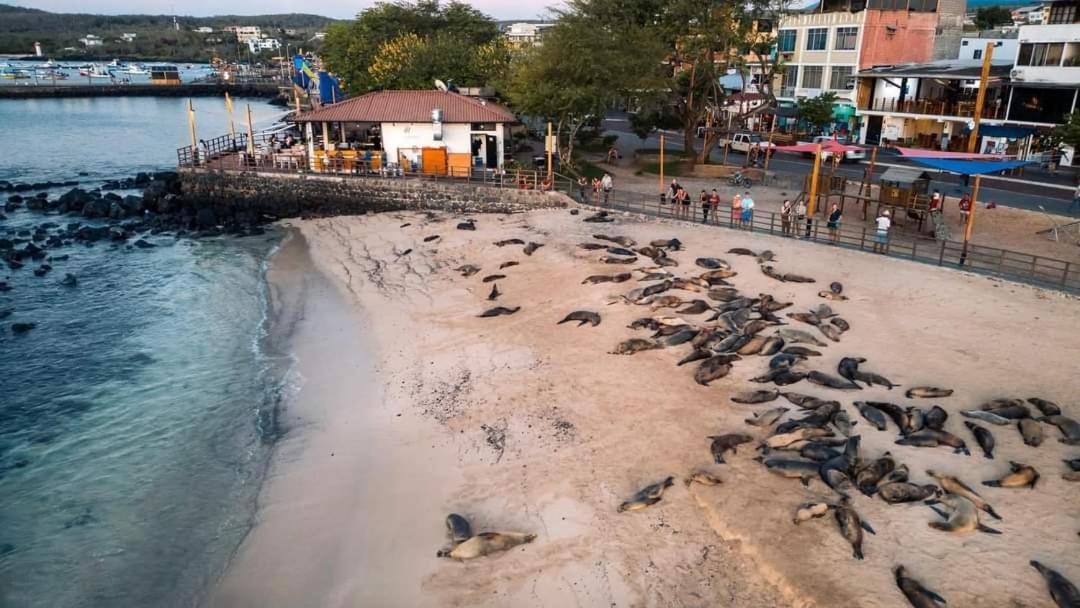 Royal Galapagos Inn ปูแอร์โต บาเกริโซ โมเรโน ภายนอก รูปภาพ
